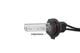 Ксенонова лампа Infolight HB4 9006 6000K +50%