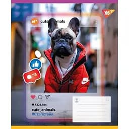 Зошит учнівський "Cute animals" Yes 767731 36 аркушів Різнокольоровий