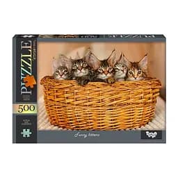 Пазл классический "Funny kittens" Danko Toys С500-14-09, 500 элементов