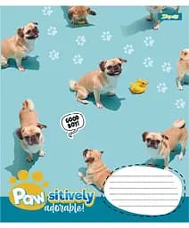 Зошит 1 вересня Pawsitively А5, 24 аркуша в лінію (768241) - мініатюра 5