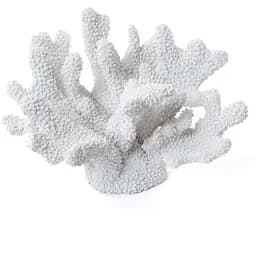 Статуетка Amadeus корал біла (160914)