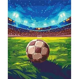 Картина за номерами на підрамнику Brushme Футбольний матч
