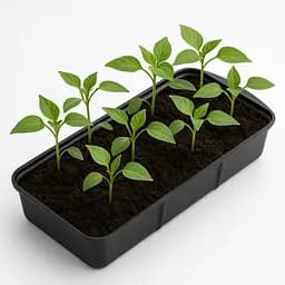 Лоток (піддон) для розсади 2.2 літра 38х16х6.5 см Чорний 88030 - мініатюра 9