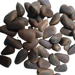 100 г кедровые орехи в скорлупе цельные карпатские крупные не жаренные