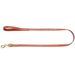Повідець для собак BronzeDog Barksi Classic шкіряний із золотим тисненням Море М 120х1.2 см червоний - мініатюра 2