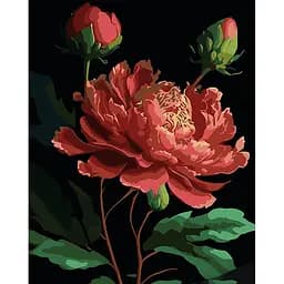 Набір для розпису по номерах Strateg Півонія в вазі на чорному фоні 40 х 50 см (AH1188-17)