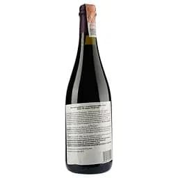 Вино игристое Distina Bason frizzante red, червоне, сухе, 13 %, 0,75 л (890332) - мініатюра 2