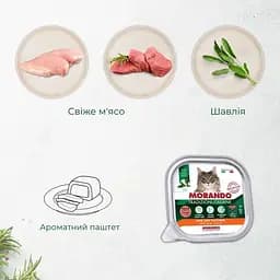 Вологий корм для котів Morando Tradizioni беззерновий паштет з індичкою 100 г - мініатюра 3