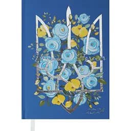 Ежедневник датированный Buromax Free 2024 A5 синий (BM.2166-02)