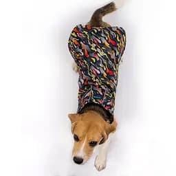 Дощовик для собак з капюшоном Barksi Textile розмір XS Гравітація - мініатюра 4