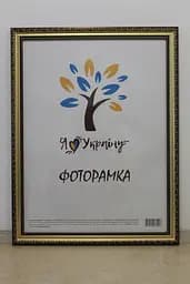 Фоторамка 30х42, золото-коричнева із золотим обрамленням, 333-х811-10, СКЛО + ДВП                                                                                                                                                                                                                                                                                                                                                                                                                        