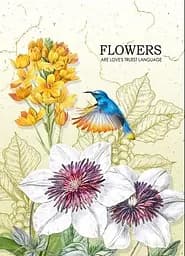 Блокнот, 60 г, 143x210 мм, 80 аркушів, клітинка, 19487-19490