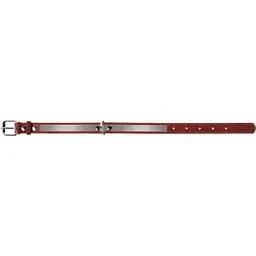 Нашийник Collar зі світловідбиваючою стрічкою, шкіра, 38-50х2,5 см, коричневий - мініатюра 4