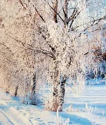 Ісус запрошує на Різдво - мініатюра 6