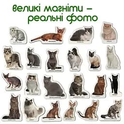 Набір магнітів Magdum Породи котів ML4031-13 EN - мініатюра 3