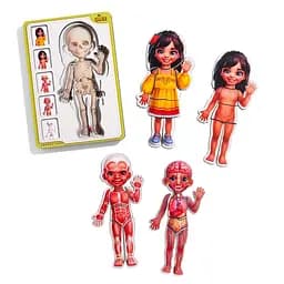 Дерев'яний пазл-вкладиш "Анатомія людини - дівчинка-2" Ubumblebees (ПСД263) PSD263 будова тіла