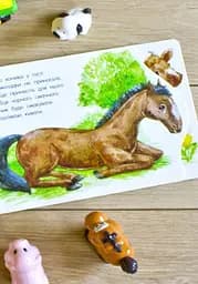 Книга Ранок Перші кроки. На фермі - Юлія Каспарова (С410023У) - мініатюра 8