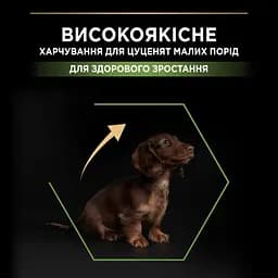 Сухий корм Purina Pro Plan Small & Mini Puppy <1 Healthy Start для цуценят дрібних порід з куркою 7 кг - мініатюра 5