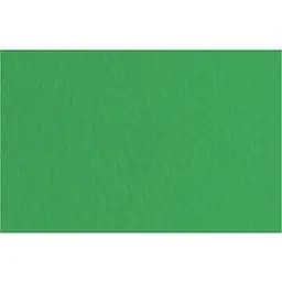 Бумага для пастели Fabriano Tiziano B2 (50х70см) №12 prato 160г/м2 зеленое среднее зерно