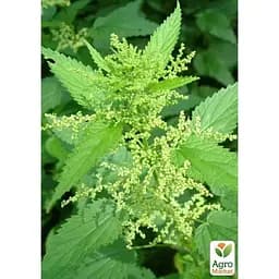 На вес Крапива двудомная Весна 2 г (183507)