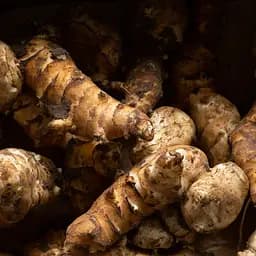 Топінамбур свіжий на посадку, земляна груша, бульбоносний, бараболя, не митий, 10 кг упаковка