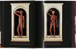 Anatomical Waxes. 45th Edition - мініатюра 13