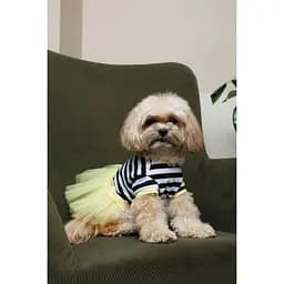 Сукня Pet Fashion Liana для собак ХXS - мініатюра 6