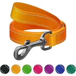 Поводок для собак нейлоновый Waudog Nylon Mono, светоотражающий, S, Ш 15 мм, Д 200 см, оранжевый