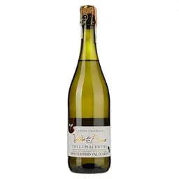 Вино ігристе Volpe di Bacco Monterosso Val D'Arda Frizzante біле сухе 0.75 л