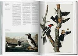 Science Illustration. A History of Visual Knowledge from the 15th Century - мініатюра 5