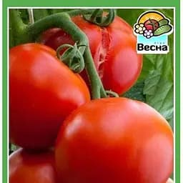 Семена Весна Томат Санька 0.2 г (10486)