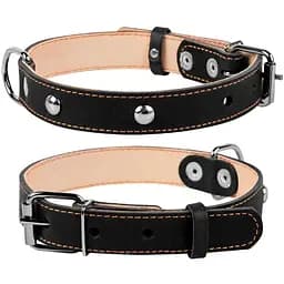 Ошейник для собак Collar двойной с украшением