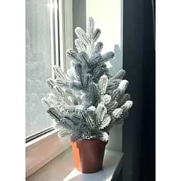 Ялинка Hvoya Traditional лита в горщику 50 см засніжена новинка