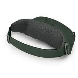 Поясная сумка Osprey Daylite Waist Зелений - мініатюра 3