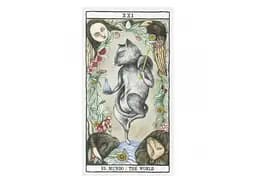 Карти Таро Fournier Котів (Tarot Cats by Ana Juan) (ВР_КТКК) - мініатюра 5