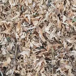 100 г акація біла цвіт сушений - свіжий урожай