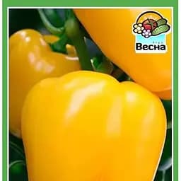 Насіння Весна Перець Богдан 0.2 г (10080)