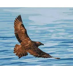Картина за номерами на підрамнику Brushme Політ південнополярного поморника Сергій Глотов