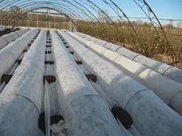 Агроволокно Greentex p-19, 1,6x100 м (30889) - мініатюра 2