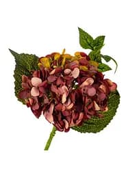 Букет "Гортензія великолиста", бордова 45 см Elisey  