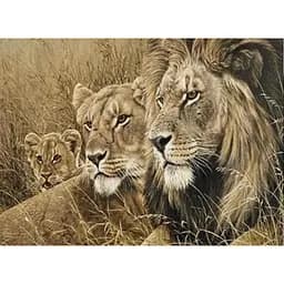 Картини за номерами Алмазна мозаїка зі стразами на підрамнику, c принт. рамою, Сила і ніжність 40*50 см