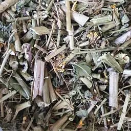 100 г желтушник обыкновенный серый трава сушеная - свежий урожай