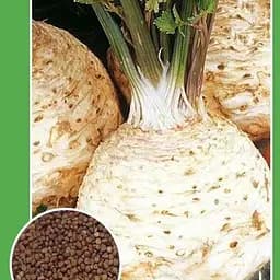 Насіння Весна Селера Діамант 0.3 г (20661)