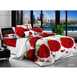 Комплект постільної білизни TAG Tekstil Сімейний Різнокольоровий 000142893 (R519)