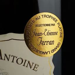 Вино Clocher Saint Antoine Rouge 2021 AOP Pic Saint Loup, червоне, сухе, 0,75 л - мініатюра 6