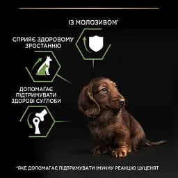 Сухий корм Purina Pro Plan Small & Mini Puppy <1 Healthy Start для цуценят дрібних порід з куркою 7 кг - мініатюра 7