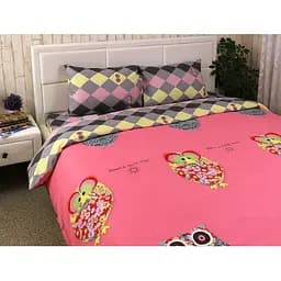 Комплект постельного белья Руно Owl набивной сатин полуторный (1.137К_Owl)