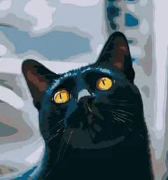 Набір для розпису по номерах Котик з жовтими очима, Strateg, 40x40 см, SK022