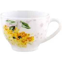 Чашка 100ml загартоване скло NP54CUP2/100