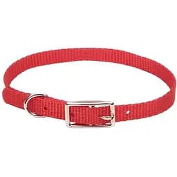 Нашийник для собак Coastal Nylon Web 1х30 см червоний